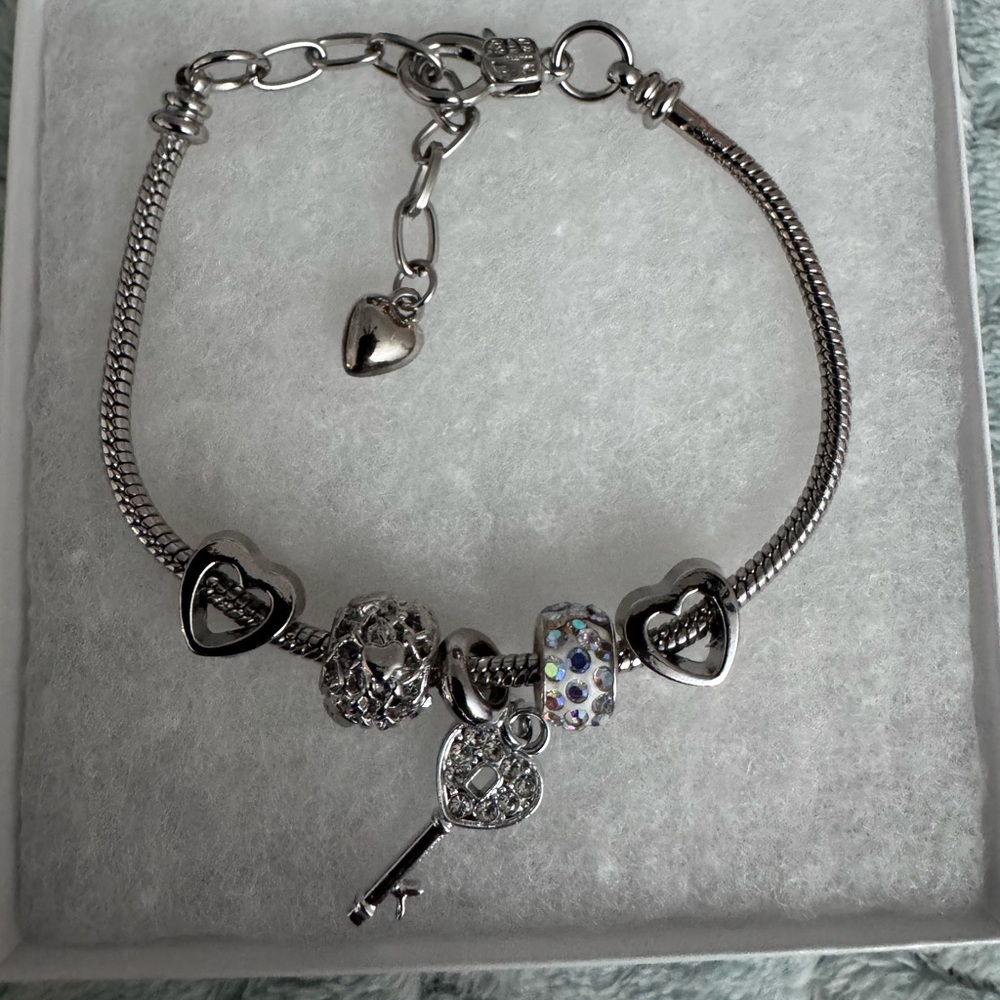 Stainless steel Bracelet w/ plated Charms